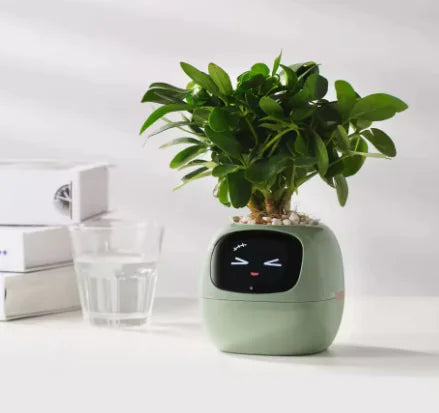 Plantbuddy